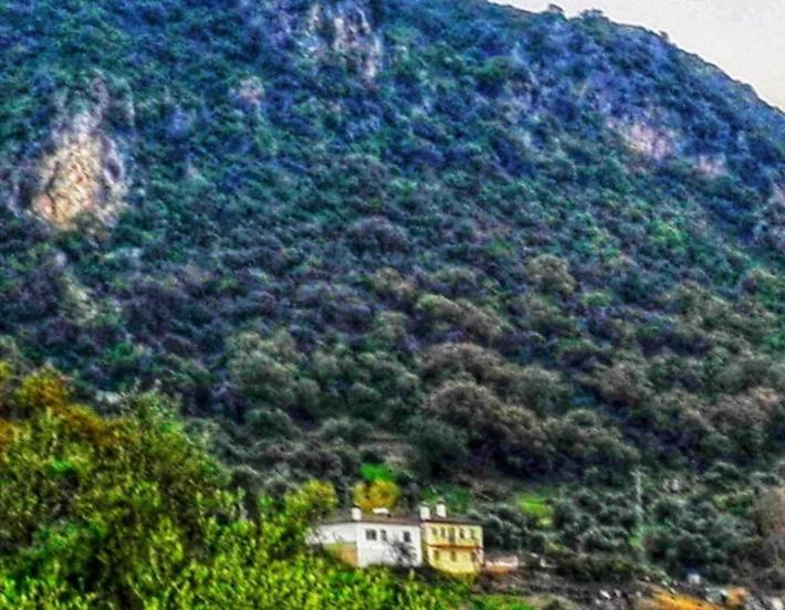 Alto De Torrecillas El Bosque Exteriér fotografie