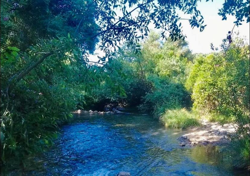 Alto De Torrecillas El Bosque Exteriér fotografie